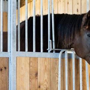 Dublin Horse Stalls