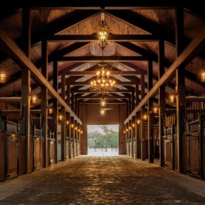 Horse Stall Accessories