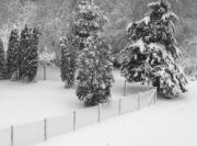 2448_012.jpg