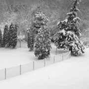snowy field with a non-climb mesh fence running through it
