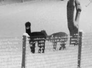 2448_013.jpg