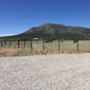 Mesh Fence running through the muffle of files with a mountain in the background