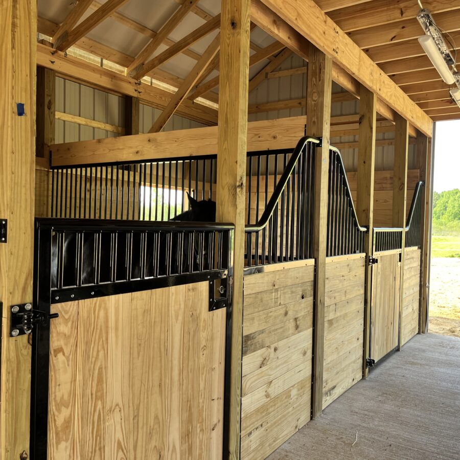 2DEC650E-BBAD-48F4-A2F3-B395BAC12059 - Adriane White 2DEC650E-BBAD-48F4-A2F3-B395BAC12059 - Adriane White