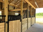 2DEC650E-BBAD-48F4-A2F3-B395BAC12059 - Adriane White