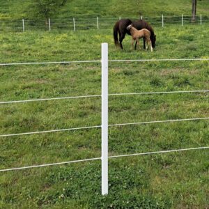 Fence Posts