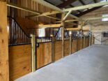 line of Shetland stalls in a new stable construction