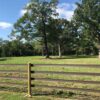 brown fence in a green field with a large tree in the background