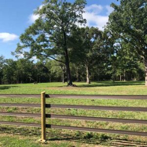 brown fence in a green field with a large tree in the background