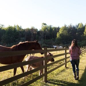 lady rancher staring next to a 4 rail fence with a horse and foal next to her