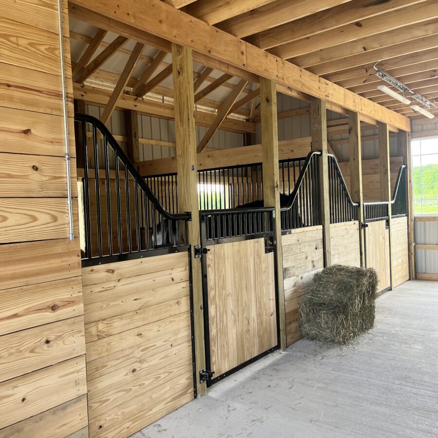 4F12F63E-90BC-4BAB-8136-DFE46B634A63 - Adriane White 4F12F63E-90BC-4BAB-8136-DFE46B634A63 - Adriane White