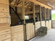 4F12F63E-90BC-4BAB-8136-DFE46B634A63 - Adriane White