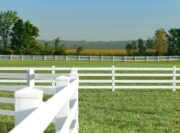 RAMM 525 Plus White Flex Fence with Shockline Combo kit