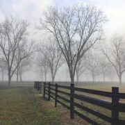 a foggy day in a large green field with brown 4 rail 525 Flex Fence running through the middle.