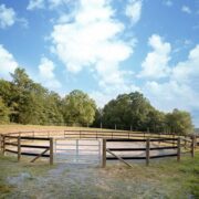 a round pen constructed of 3 rails of a fence with a metal tubular gate at the entrance