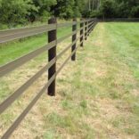 a brown 4 rail fence bordering a filed on the right side and a forest on the left
