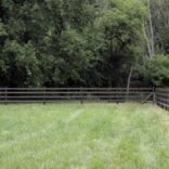 a brown 4 rail fence in front of a leafy forest