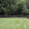 a brown 4 rail fence in front of a leafy forest