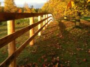 Board Horse Fence