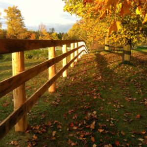Board Horse Fence