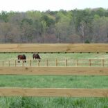 wooden board fence in a large field