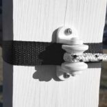 webbing and braided electric rope being held by an insulator