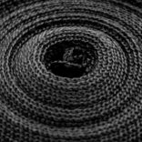 closeup of black webbing