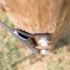 extreme closeup from above a a brown end plate attached to a wood post