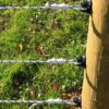 image of 3 connectors splice three different braided ropes
