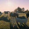 Hay OptiMizer&reg;