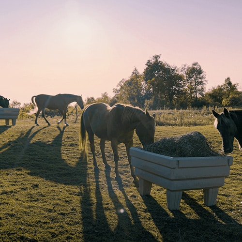 Hay OptiMizer®
