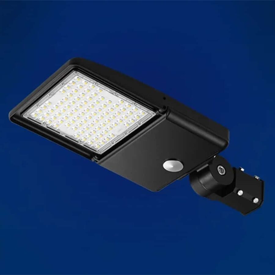 IAHP1_slide3-1 IAHP1_slide3-1