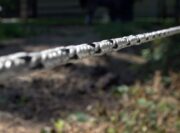 Pro-Tek Braided Electric Horse Fence, 1320' Roll, Speckled