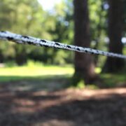 a single strand of white and black braided electric fencing