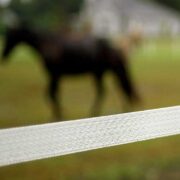closeup of white tape in front of an out of focus brown horse