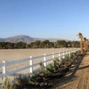 PVC fence next to palm trees in a desert setting