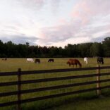 Per4mance Flex Fence