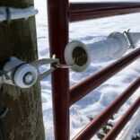 white gate handle shown securing a red farm gate closed