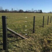 5 lines of coated wire with fence tensioners