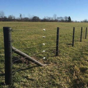 5 lines of coated wire with fence tensioners