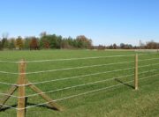 Raceline Flex Fence Coated Wire