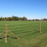 Raceline Flex Fence Coated Wire