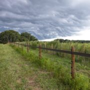 electric fence and a top rail of flex fence between two fields