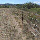 electric fence strung along a scrub field