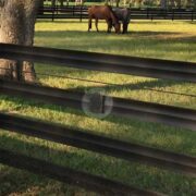 bracket installed on brown flex fence