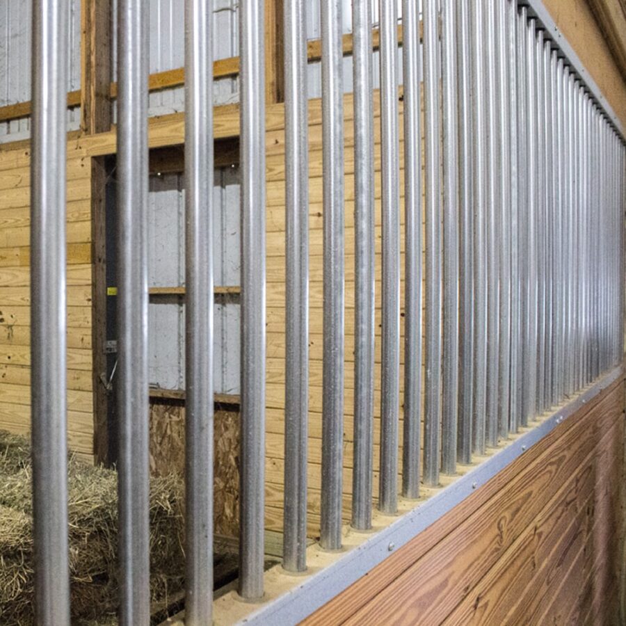 SSGP_5.jpg SSGP_5.jpg