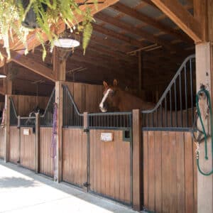 Shetland Horse Stalls