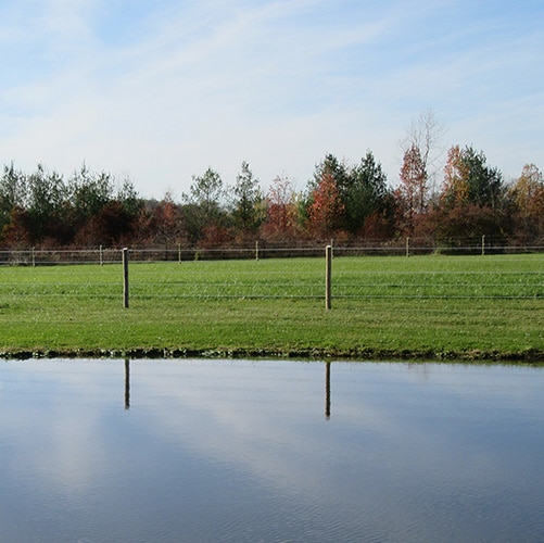 Shockline Flex Fence Electric Coated Wire