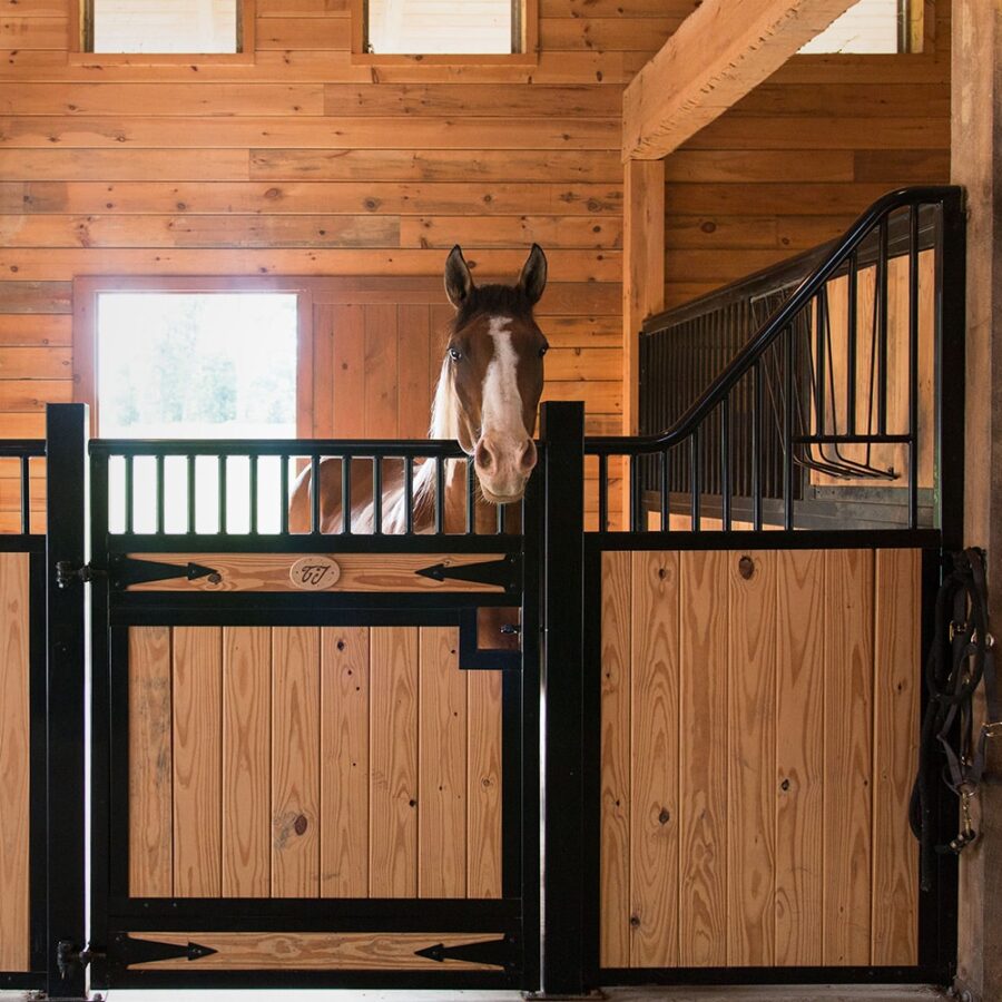 Tuscany05.jpg Tuscany05.jpg