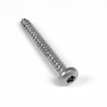3/4 view of screw with star head visible