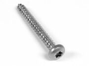 3/4 view of screw with star head visible